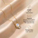 Moonstone Necklace - Pendant with Crystals